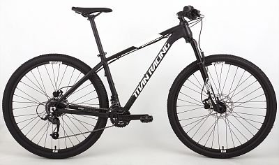 Превью Горный велосипед 29 дюймов Велосипед TITAN RACING Rogue Alpine (2024)